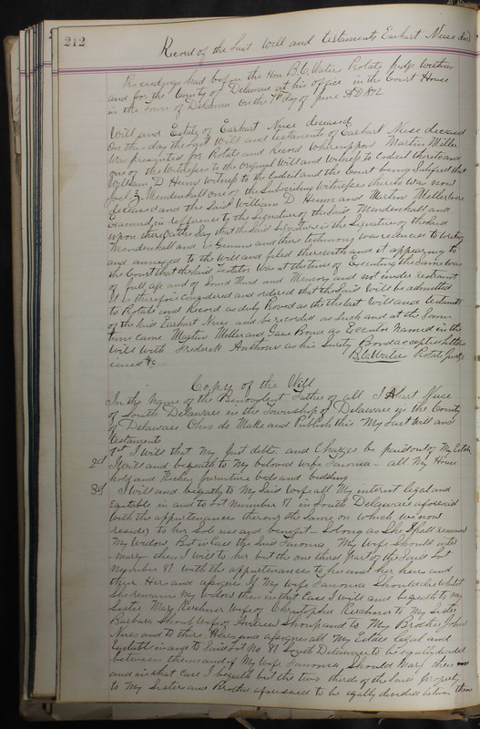 Delaware County Ohio Will Records Vol. 5 1869-1876 (p. 245)