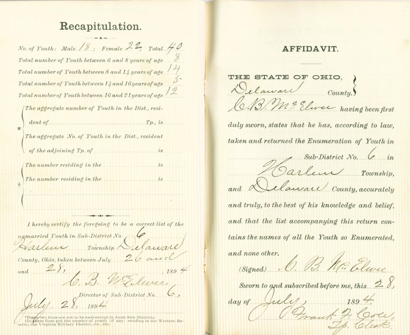 Harlem Township Enumeration of Youth Sub-District 6, July 26, 1894 (p. 6)