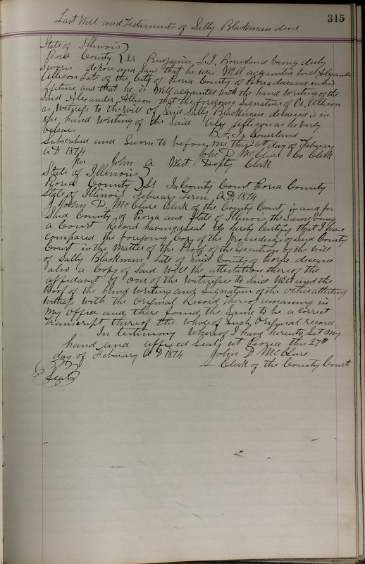 Delaware County Ohio Will Records Vol. 5 1869-1876 (p. 348)