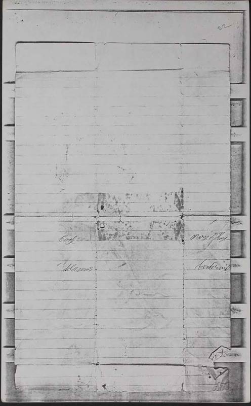 Haycook Civil War Letters 1861-1865 (p. 52)