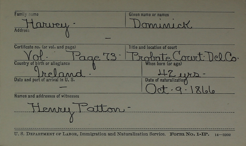 Naturalization Records Delaware County OH (p. 940)