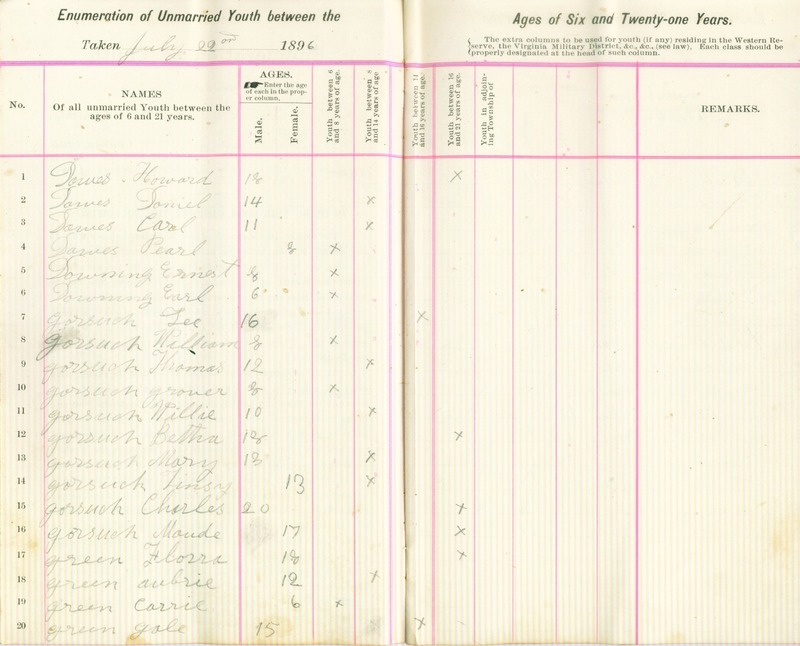 Harlem Township Enumeration of Youth Sub-District 4, July 22nd, 1896 (p. 4)