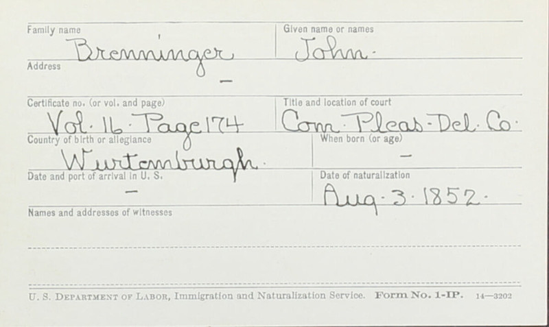 Naturalization Records Delaware County OH (p. 245)