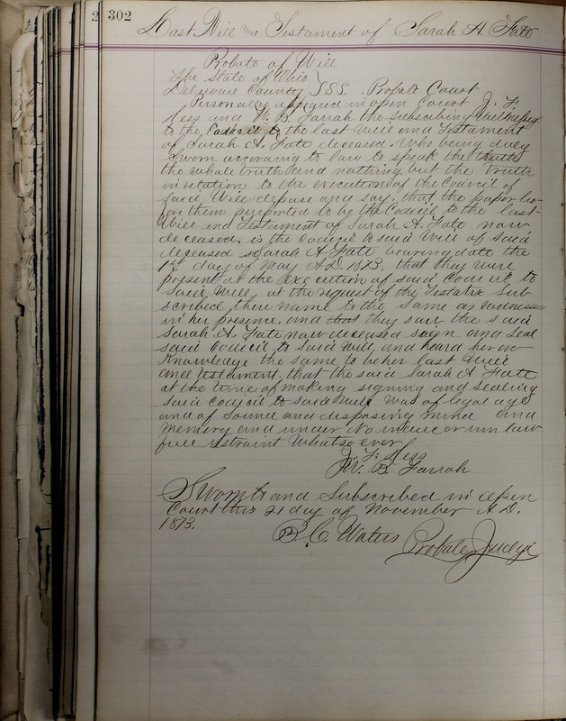 Delaware County Ohio Will Records Vol. 5 1869-1876 (p. 335)