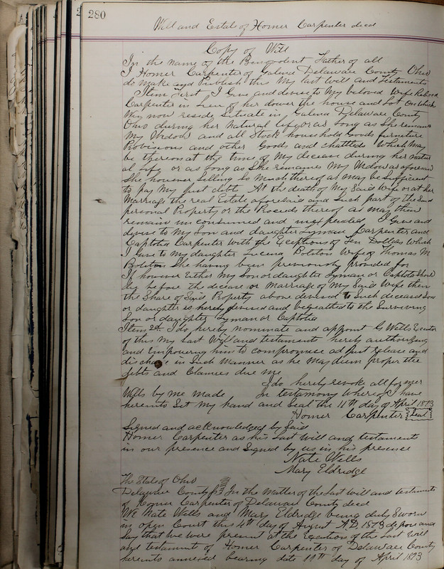 Delaware County Ohio Will Records Vol. 5 1869-1876 (p. 313)