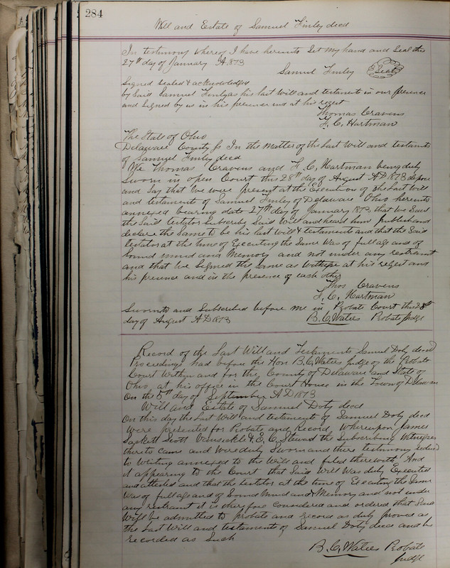 Delaware County Ohio Will Records Vol. 5 1869-1876 (p. 317)