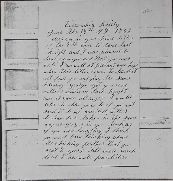 Haycook Civil War Letters 1861-1865 (p. 100)