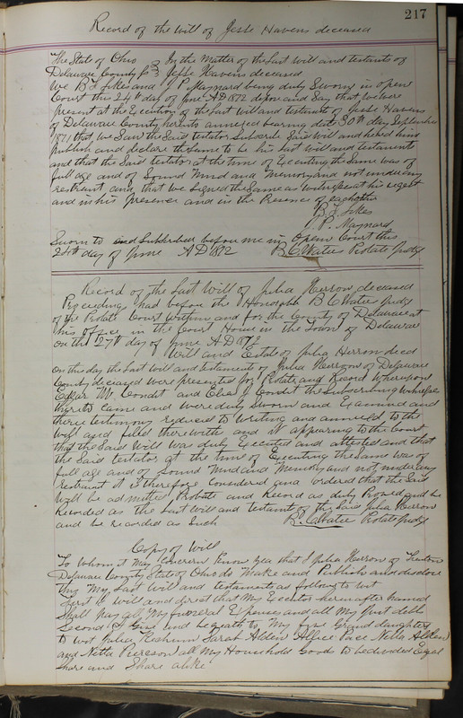 Delaware County Ohio Will Records Vol. 5 1869-1876 (p. 250)