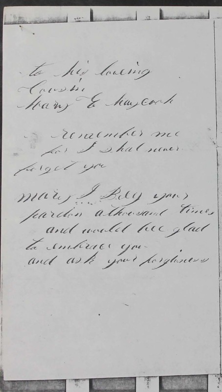 Haycook Civil War Letters 1861-1865 (p. 81)