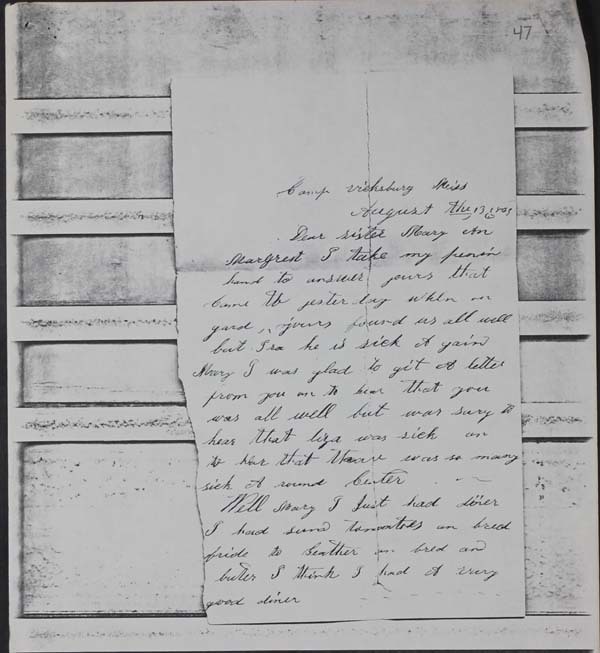 Haycook Civil War Letters 1861-1865 (p. 111)