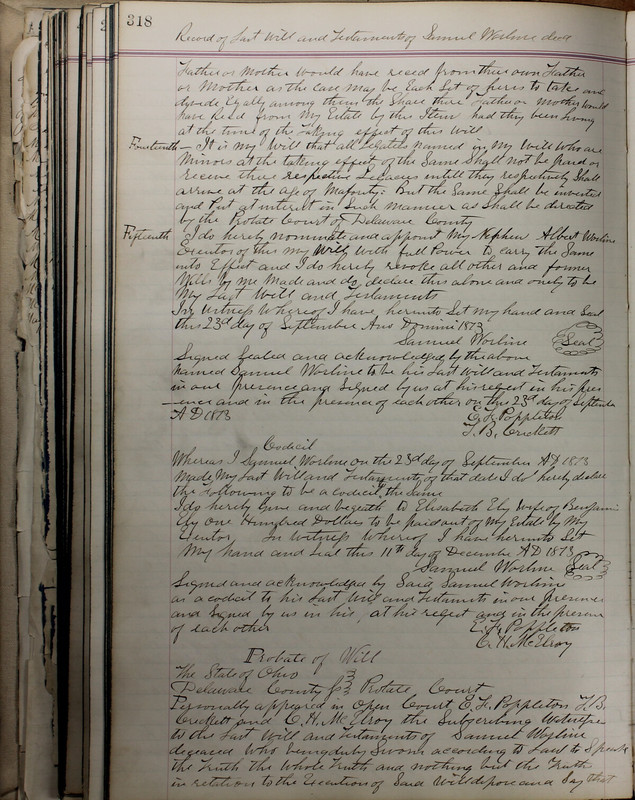 Delaware County Ohio Will Records Vol. 5 1869-1876 (p. 351)