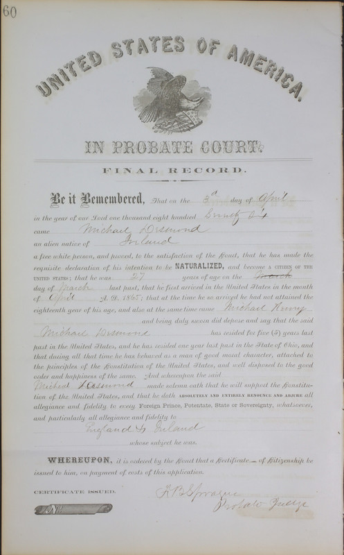 Naturalization Records Delaware County OH (p. 538)