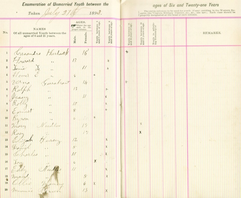 Harlem Township Enumeration of Youth Sub-District 5, July 27th, 1893 (p. 4)