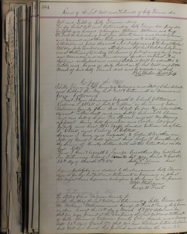 Delaware County Ohio Will Records Vol. 5 1869-1876 (p. 397)