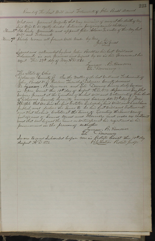 Delaware County Ohio Will Records Vol. 5 1869-1876 (p. 256)