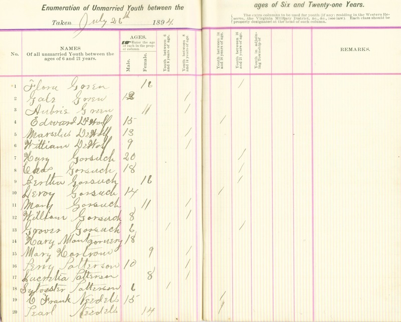 Harlem Township Enumeration of Youth Sub-District 4, July 26th, 1894 (p. 4)