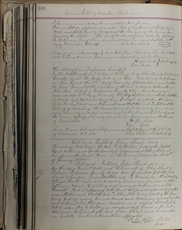 Delaware County Ohio Will Records Vol. 5 1869-1876 (p. 381)