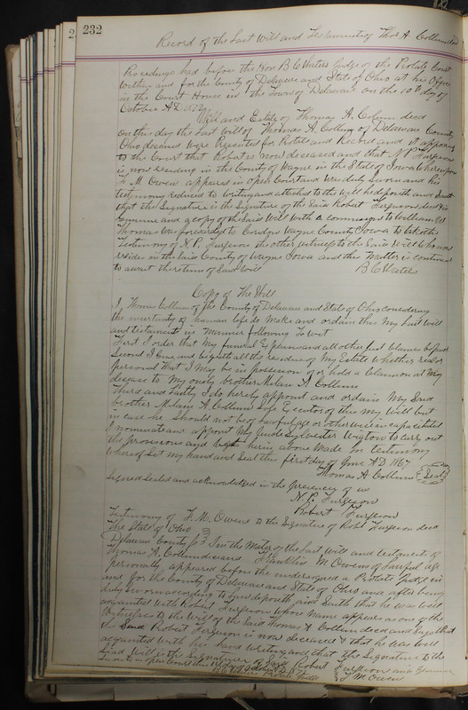 Delaware County Ohio Will Records Vol. 5 1869-1876 (p. 265)