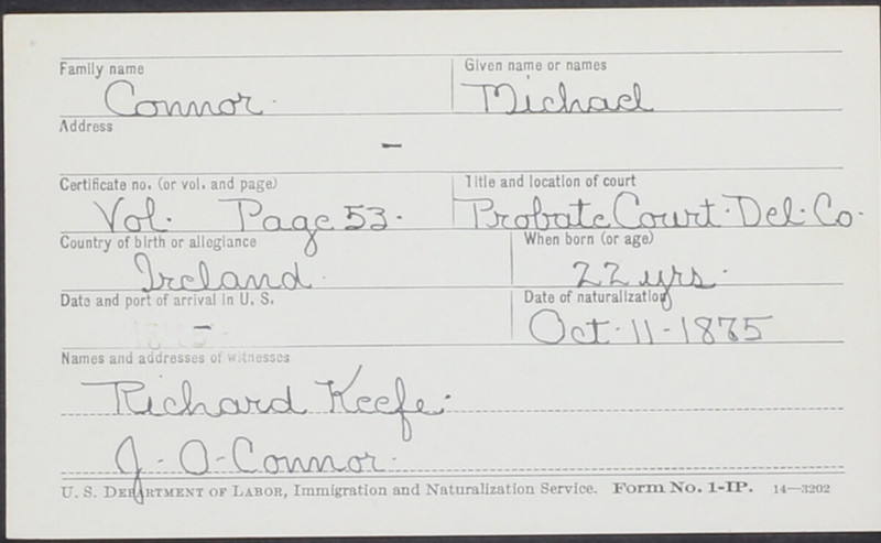 Naturalization Records Delaware County OH (p. 449)