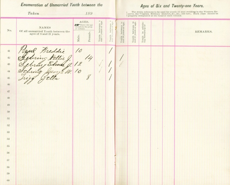 Harlem Township Enumeration of Youth Sub-District 6, July 22, 1896 (p. 6)