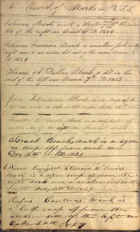 Record Book of Berkshire Township No. 2 1807-1843 (p. 10)