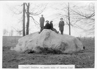 Glacial Boulder on North side of Croton Road